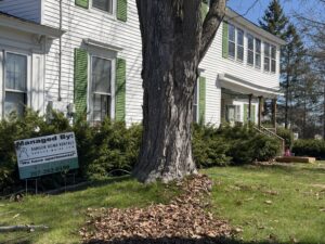 White two-story Bangor, Maine apartment house with green shutters, a large maple tree, and a Bangor Home Rentals sign on the lawn